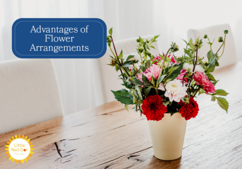 What are the Advantages of Flower Arrangements H2 1000 x 700 What are the Advantages of Flower Arrangements H2 1000 x 700