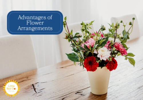 What are the Advantages of Flower Arrangements H2 1000 x 700 What are the Advantages of Flower Arrangements H2 1000 x 700