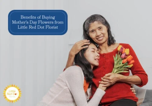 What are the Benefits of Buying Mother s Day Flowers from Little Red Dot Florist H2 1000 x 700 What are the Benefits of Buying Mother s Day Flowers from Little Red Dot Florist H2 1000 x 700