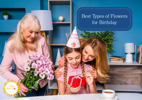 What are the Best Types of Flowers for Birthday H2 1000 x 700 What are the Best Types of Flowers for Birthday H2 1000 x 700