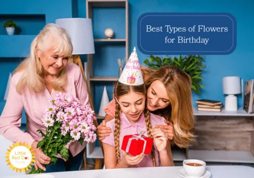 What are the Best Types of Flowers for Birthday H2 1000 x 700 What are the Best Types of Flowers for Birthday H2 1000 x 700