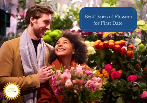 What are the Best Types of Flowers for First Date H2 1000 x 700 What are the Best Types of Flowers for First Date H2 1000 x 700