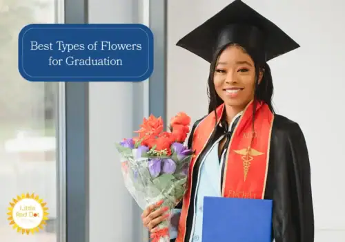 What are the Best Types of Flowers for Graduation H2 1000 x 700 What are the Best Types of Flowers for Graduation H2 1000 x 700