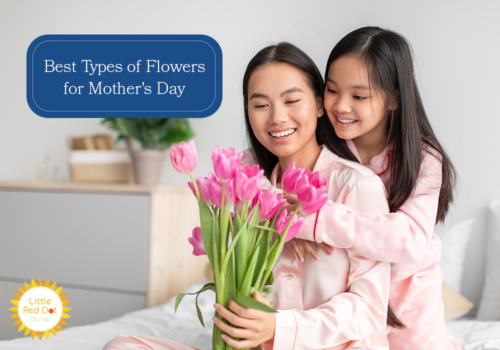 What are the Best Types of Flowers for Mother s Day H2 1000 x 700