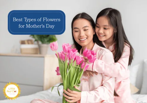 What are the Best Types of Flowers for Mother s Day H2 1000 x 700 What are the Best Types of Flowers for Mother s Day H2 1000 x 700