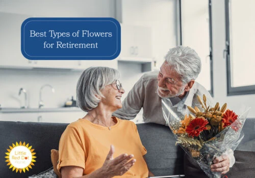 What are the Best Types of Flowers for Retirement H2 1000 x 700 What are the Best Types of Flowers for Retirement H2 1000 x 700