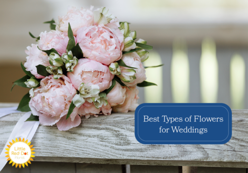 What are the Best Types of Flowers for Weddings