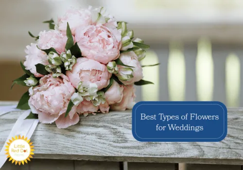 What are the Best Types of Flowers for Weddings What are the Best Types of Flowers for Weddings