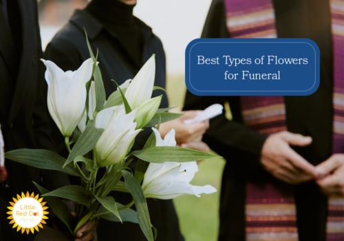 What are the Best Types of Funeral Flowers H2 1000 x 700 What are the Best Types of Funeral Flowers H2 1000 x 700