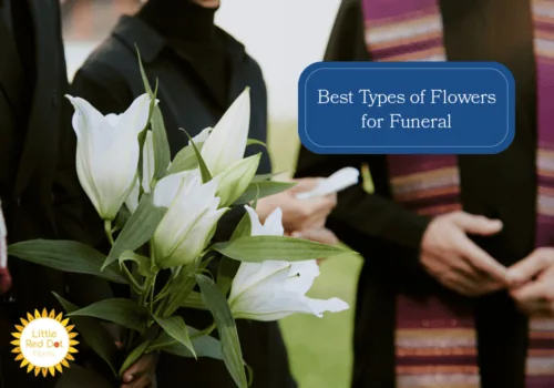 What are the Best Types of Funeral Flowers H2 1000 x 700 What are the Best Types of Funeral Flowers H2 1000 x 700
