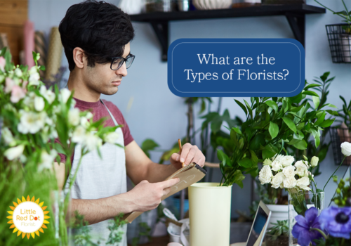 What are the Types of Florists H2 1000 x 700 What are the Types of Florists H2 1000 x 700