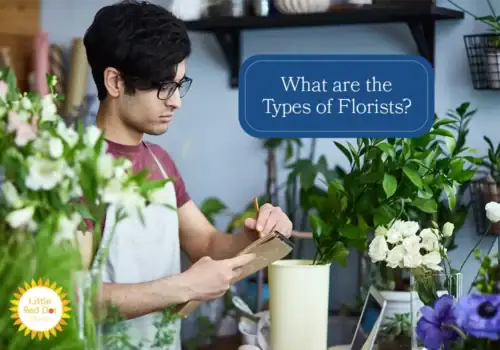 What are the Types of Florists H2 1000 x 700 What are the Types of Florists H2 1000 x 700