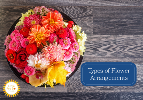 What are the Types of Flower Arrangements H2 1000 x 700 What are the Types of Flower Arrangements H2 1000 x 700