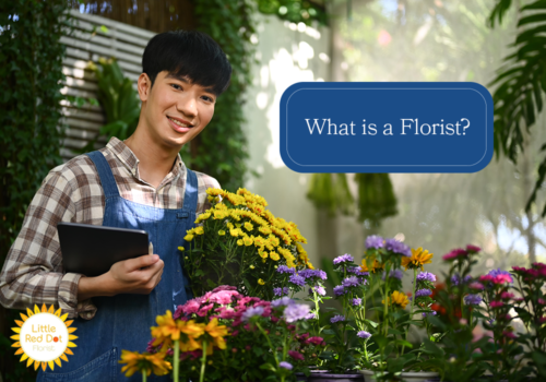 What is a Florist H2 1000 x 700 What is a Florist H2 1000 x 700