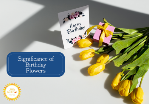 What is the Significance of Flowers for Birthday H2 1000 x 700 What is the Significance of Flowers for Birthday H2 1000 x 700