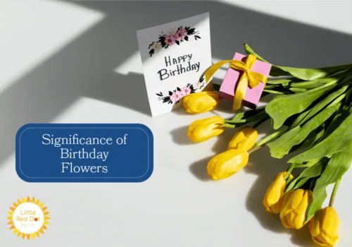 What is the Significance of Flowers for Birthday H2 1000 x 700 What is the Significance of Flowers for Birthday H2 1000 x 700