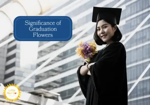 What is the Significance of Flowers for Graduation H2 1000 x 700 What is the Significance of Flowers for Graduation H2 1000 x 700