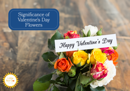 What is the Significance of Flowers for Valentine s Day H2 1000 x 700