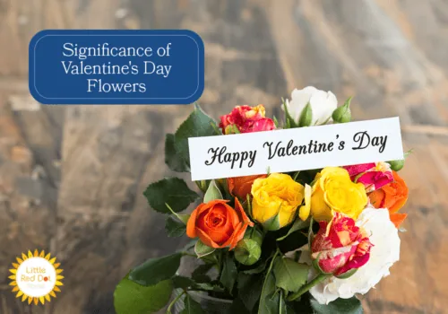 What is the Significance of Flowers for Valentine s Day H2 1000 x 700 What is the Significance of Flowers for Valentine s Day H2 1000 x 700