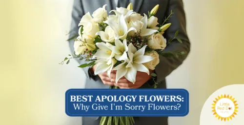 Best Apology Flowers Why Give I'm Sorry Flowers Best Apology Flowers Why Give I'm Sorry Flowers
