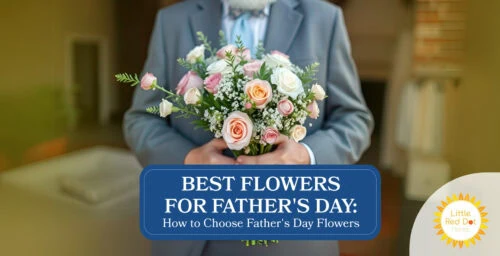 Best Flowers for Father's Day How to Choose Father's Day Flowers Best Flowers for Father's Day How to Choose Father's Day Flowers