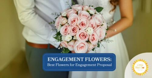 Engagement Flowers Best Flowers for Engagement Proposal Engagement Flowers Best Flowers for Engagement Proposal