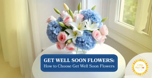 Get Well Soon Flowers How to Choose Get Well Soon Flowers Get Well Soon Flowers How to Choose Get Well Soon Flowers