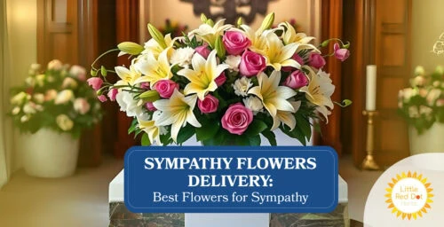 Sympathy Flowers Delivery Best Flowers for Sympathy Sympathy Flowers Delivery Best Flowers for Sympathy