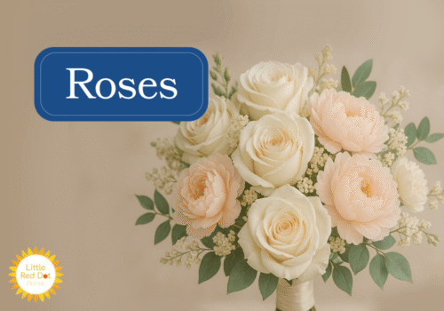 Roses Inline 1000 x 700 Roses Inline 1000 x 700