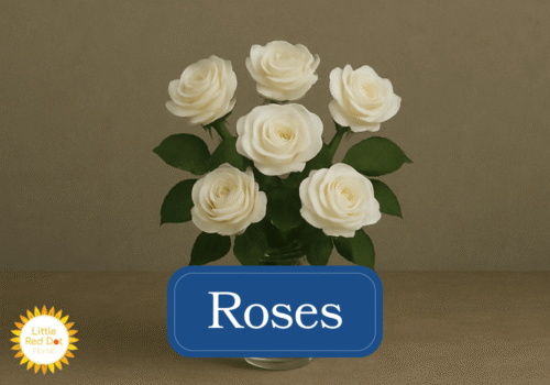 Roses Inline 1000 x 700 Roses Inline 1000 x 700