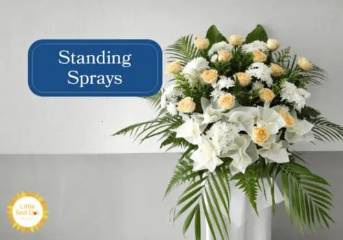 Standing Sprays Inline 1000 x 700 Standing Sprays Inline 1000 x 700