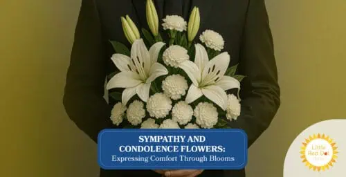 Sympathy and Condolence Flowers Headline 1640 x 840 Sympathy and Condolence Flowers Headline 1640 x 840