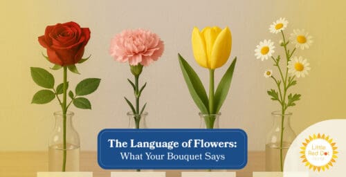 The Language of Flowers What Your Bouquet Says Headline 1640 x 840 The Language of Flowers What Your Bouquet Says Headline 1640 x 840