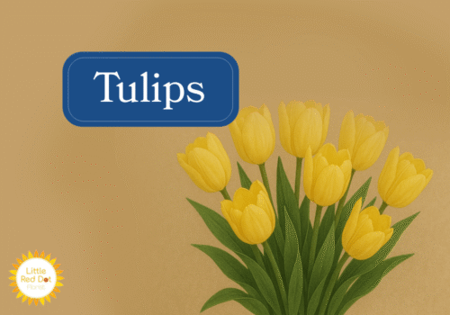 Tulips Inline 1000 x 700 Tulips Inline 1000 x 700