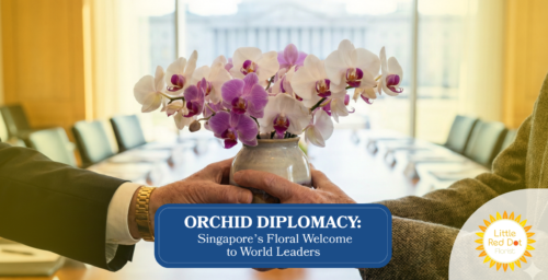 Orchid Diplomacy Singapore’s Floral Welcome to World Leaders Headline 1640 x 840 Orchid Diplomacy Singapore’s Floral Welcome to World Leaders Headline 1640 x 840