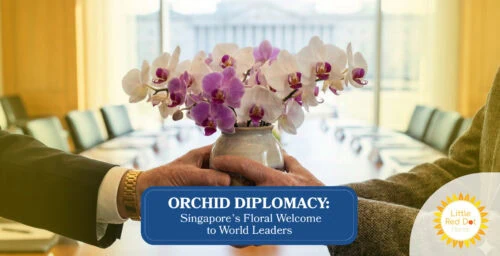 Orchid Diplomacy Singapore’s Floral Welcome to World Leaders Headline 1640 x 840 Orchid Diplomacy Singapore’s Floral Welcome to World Leaders Headline 1640 x 840
