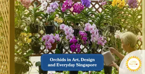 Orchids in Art Design & Everyday Singapore Headline 1640 x 840 Orchids in Art Design & Everyday Singapore Headline 1640 x 840
