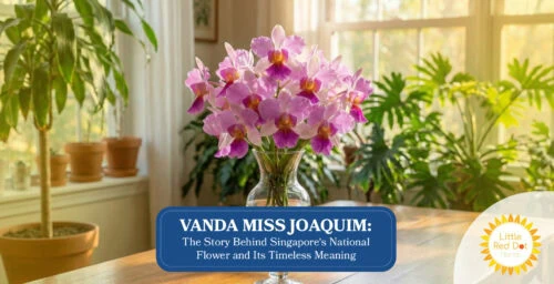 Vanda Miss Joaquim The Story Behind Singapore’s National Flower Headline 1640 x 840 Vanda Miss Joaquim The Story Behind Singapore’s National Flower Headline 1640 x 840