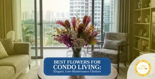 Best Flowers for Condo Living Elegant Low Maintenance Choices Headline 1640 x 840 Best Flowers for Condo Living Elegant Low Maintenance Choices Headline 1640 x 840