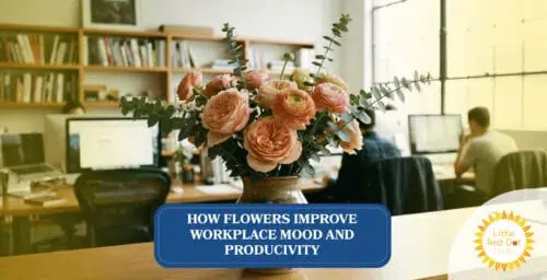 How Flowers Improve Workplace Mood & Productivity Headline 1640 x 840 (1) How Flowers Improve Workplace Mood & Productivity Headline 1640 x 840 (1)