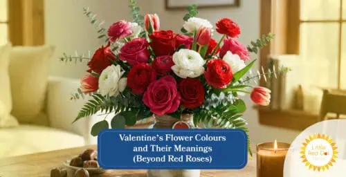 Valentine’s Flower Colours & Their Meanings (Beyond Red Roses) Headline 1640 x 840 Valentine’s Flower Colours & Their Meanings (Beyond Red Roses) Headline 1640 x 840