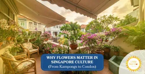 Why Flowers Matter in Singapore Culture (From Kampongs to Condos) Headline 1640 x 840 Why Flowers Matter in Singapore Culture (From Kampongs to Condos) Headline 1640 x 840