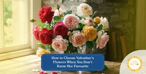 How to Choose Valentine’s Flowers When You Don’t Know Her Favourite Headline 1640 x 840 How to Choose Valentine’s Flowers When You Don’t Know Her Favourite Headline 1640 x 840