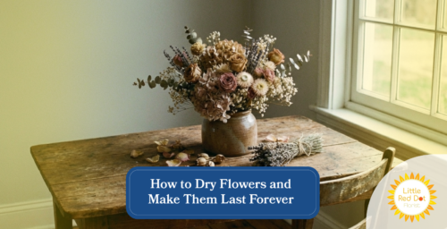 How to Dry Flowers and Make Them Last Forever Headline 1640 x 840 How to Dry Flowers and Make Them Last Forever Headline 1640 x 840