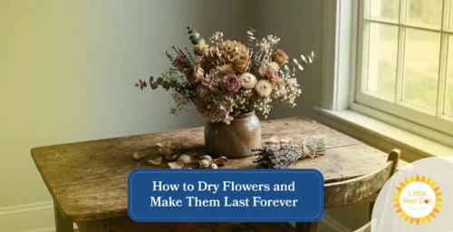 How to Dry Flowers and Make Them Last Forever Headline 1640 x 840 How to Dry Flowers and Make Them Last Forever Headline 1640 x 840
