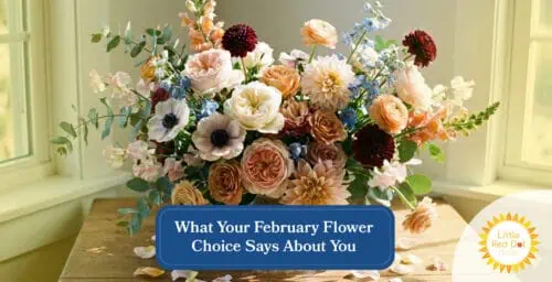 What Your February Flower Choice Says About You Headline 1640 x 840 What Your February Flower Choice Says About You Headline 1640 x 840