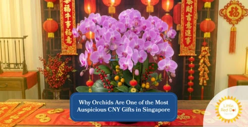 Why Orchids Are One of the Most Auspicious CNY Gifts in Singapore Headline 1640 x 840 Why Orchids Are One of the Most Auspicious CNY Gifts in Singapore Headline 1640 x 840