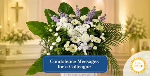 Condolence Messages for a Colleague Headline 1640 x 840 Condolence Messages for a Colleague Headline 1640 x 840