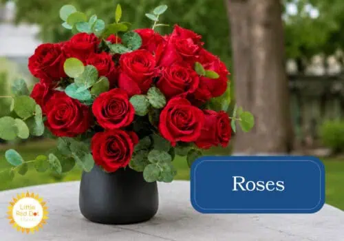 Roses Inline 1000 x 700 Roses Inline 1000 x 700